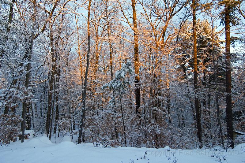 20071228_093316 D2X F.jpg - Winter landscape, Happy Tails, Bridgton, Maine
